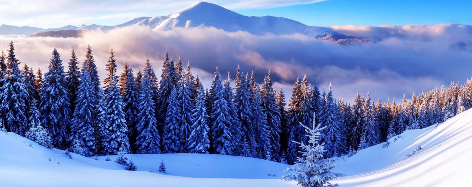 Winter snow in mountainous forest, clouds and mountain-tops beyond
