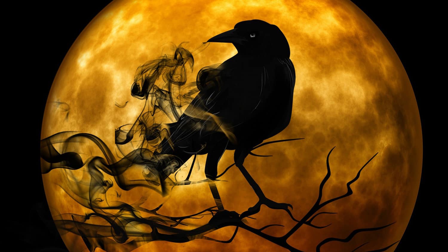 A black raven is sitting on the branch on a full moon's night