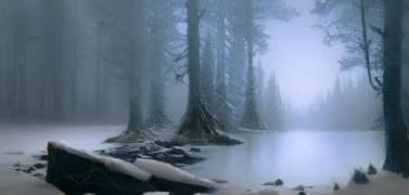 Winter landscape - forest with icy lake