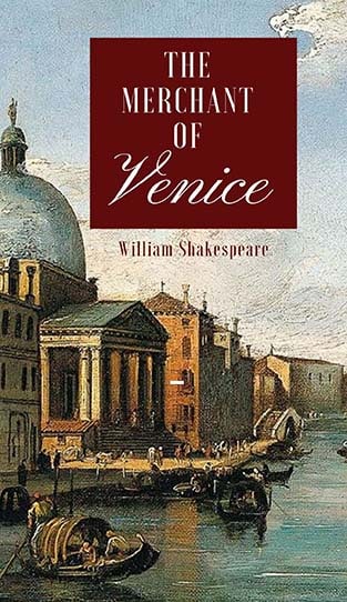 Venice Painting used as book cover